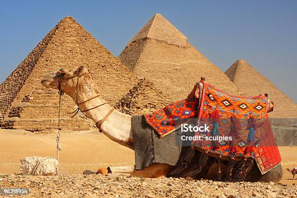 エジプトのピラミッドキャメル - アフリカのストックフォトや画像を多数ご用意 - アフリカ, エジプト, カイロ