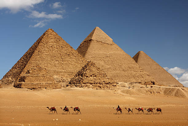 piramidi d'egitto - egypt camel pyramid shape pyramid foto e immagini stock
