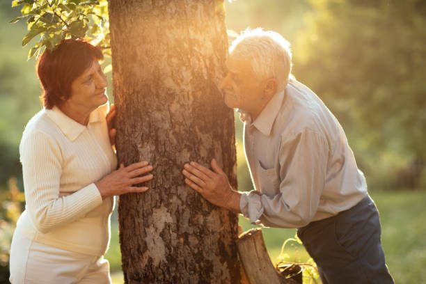 istock Romantic senior couple  outdoors 963195912