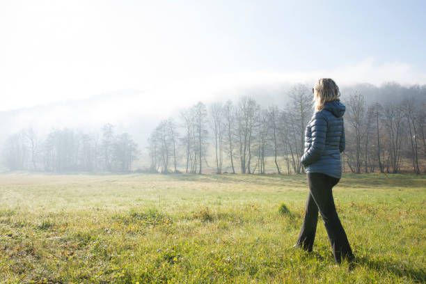 woman walks through hilly meadow in mist - landscape tree field solitude imagens e fotografias de stock