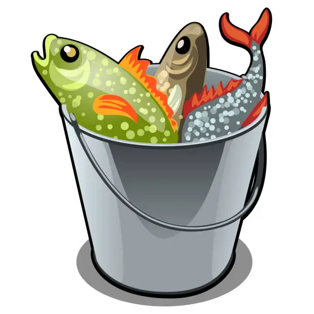 Vector illustration of A stainless steel bucket filled with colorful fish isolated on white background. Vector illustration