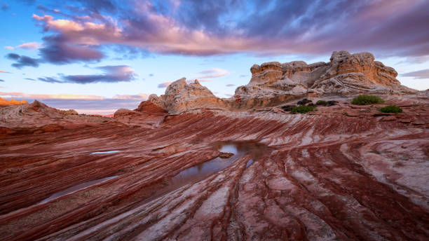 istock Whiite Pocket at dawn 963212282