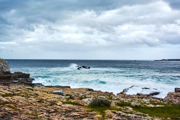 istock Seaview waves in Hermanus, South Africa 963215452
