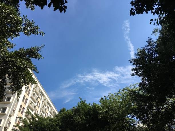 A beautiful moment when sun shined on the residential apartment where the photographer lived under the clear blue sky in Shenzhen, China.