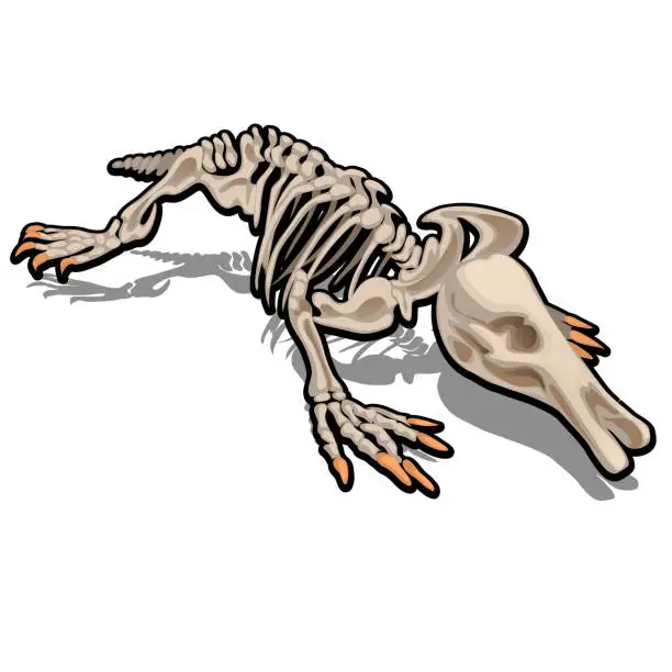 Vector illustration of Skeleton of anteater isolated on white background. Vector illustration