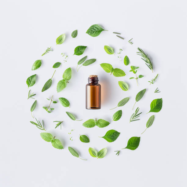 bottle of essential oil with round shape of fresh herbs and spices basil, sage, rosemary, oregano, thyme, lemon balm  and peppermint setup with flat lay on white background - homeopatic medicine imagens e fotografias de stock