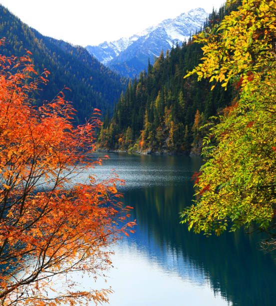 lago incredibile nei colori autunnali - autumn landscape hill tree foto e immagini stock