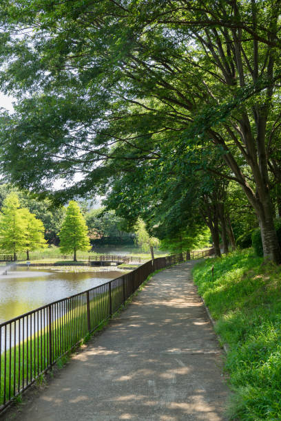 istock beautiful scenic in the park 963234788