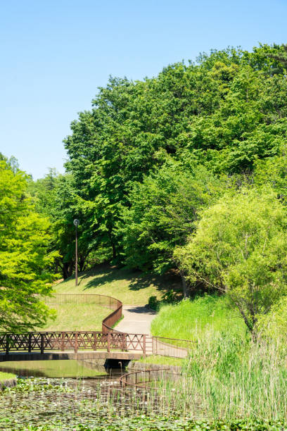 istock beautiful scenic in the park 963234816