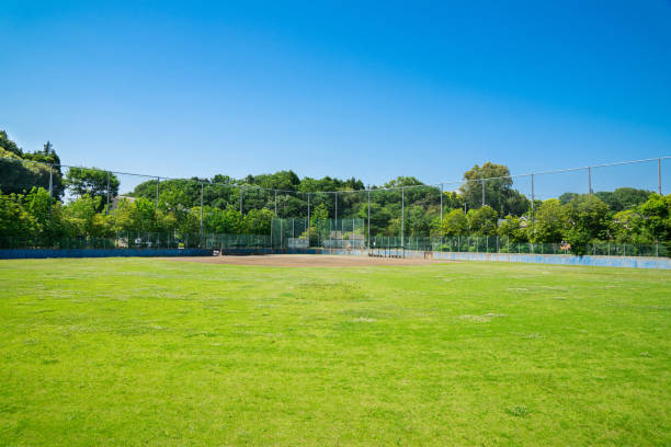 istock beautiful scenic in the park 963234886