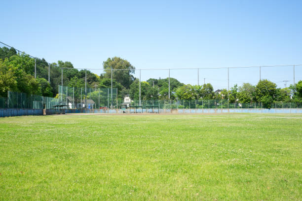 istock beautiful scenic in the park 963235148