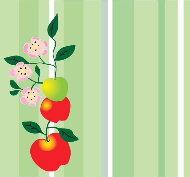 äpfel mit blüten - apple granny smith apple red green stock-grafiken, -clipart, -cartoons und -symbole