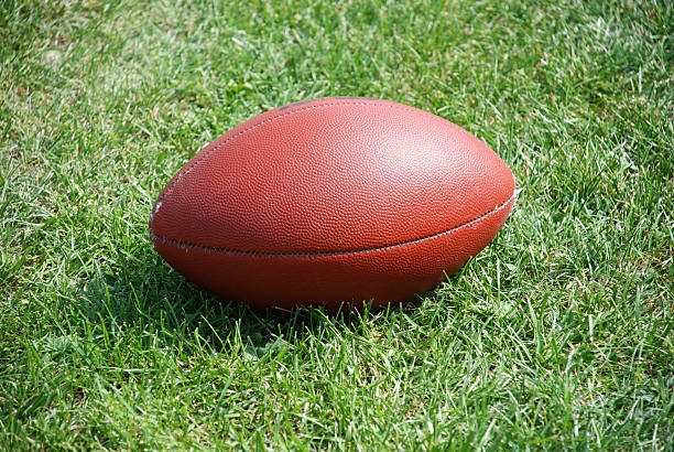istock football in the grass 96324397