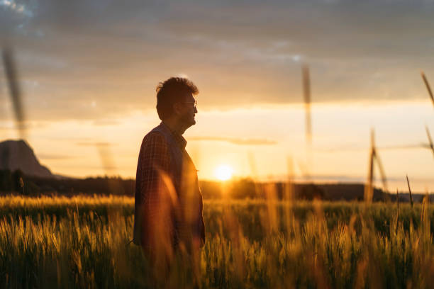 istock Senior farm worker examining wheat crops field 963244996