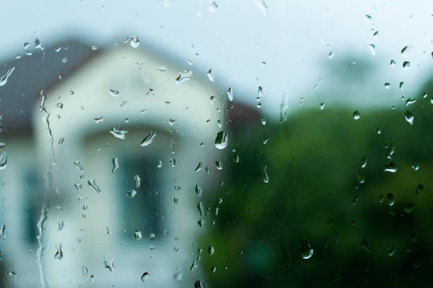 istock glass of water home and tree background 963245336