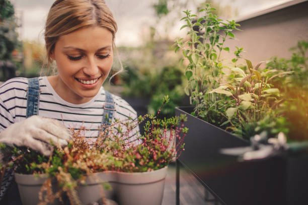 młoda kobieta układająca rośliny w swoim ogrodzie na dachu - enjoyment growth gardening equipment human age zdjęcia i obrazy z banku zdjęć