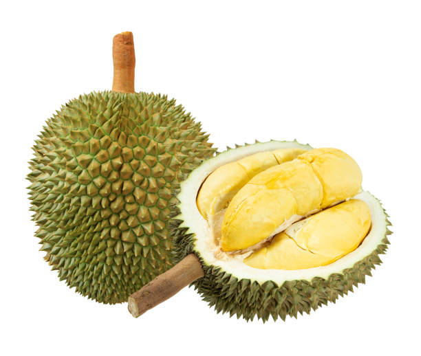 istock Closeup of durian fruits 963250984