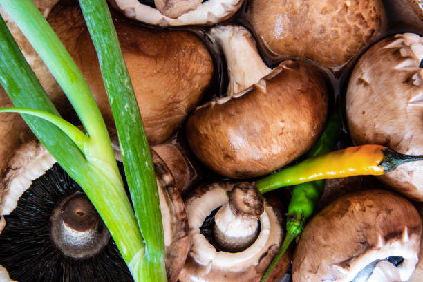 Low fat food: mushrooms, spring onion, chillies