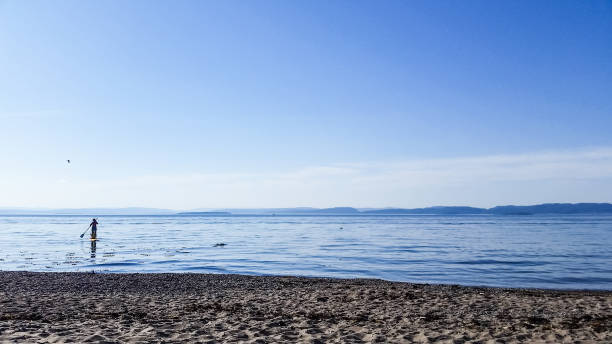 Person paddleboarding next to beach under beautiful blue sky at waterfront stock photo