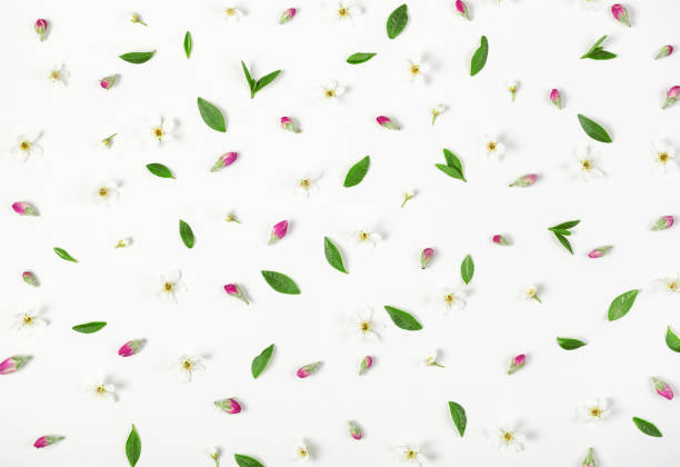 istock Floral pattern made of spring flowers, pink buds and leaves isolated on white background. Flat lay. Top view. 963280260