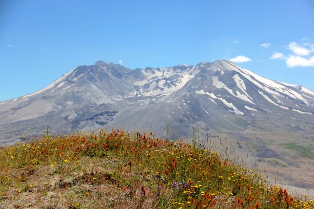 istock Mt St Helens at the Johnston Ridge Observatory in Washington State 963284154