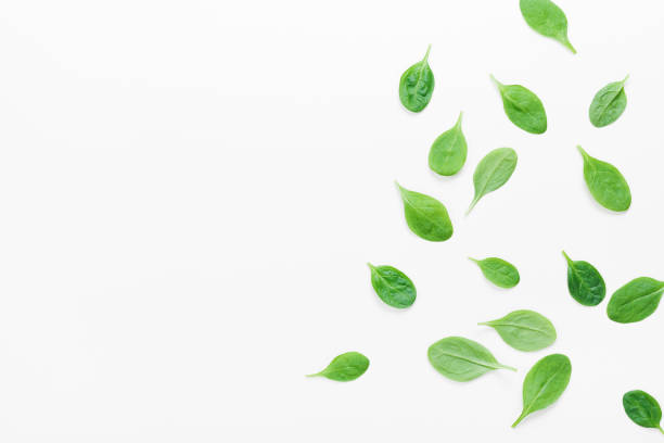istock Organic and fresh spinach leaves on white background top view. Flat lay. 963287682