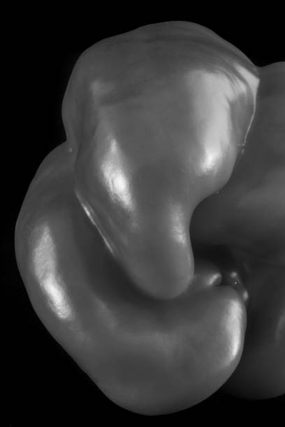 istock Sweet pepper in monochrome on dark background 963291722