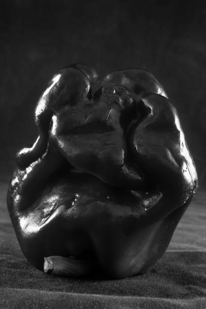istock Dark sweet pepper in monochrome on dark background 963295238