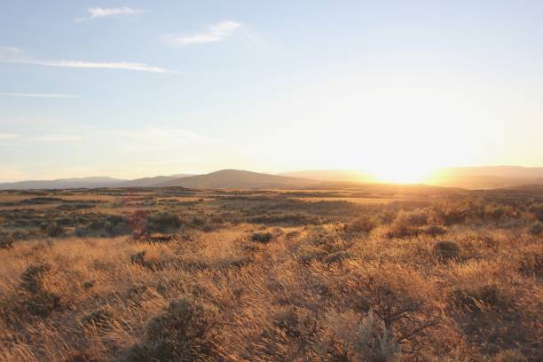 istock Cowiche Canyon Conservacy in Yakima, Washington 963295686