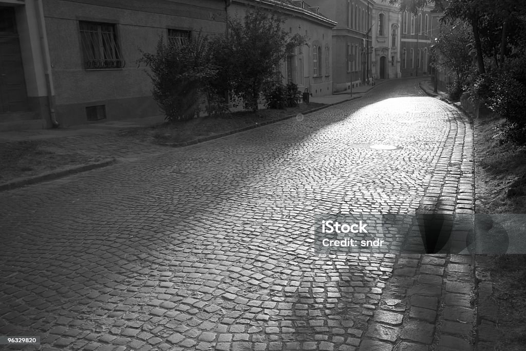 Rue pavée - Photo de Au milieu de la route libre de droits