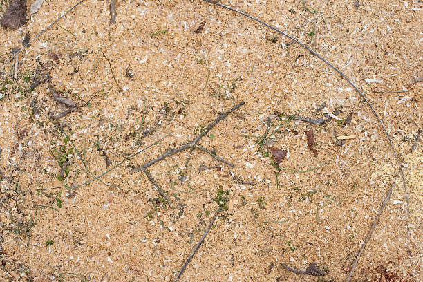 Wood mulch used for landscaping