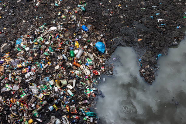 저수시설 오염시킨다 - pollution sea toxic waste garbage 뉴스 사진 이미지
