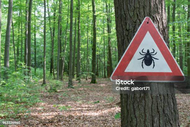 Tick Insect Warning Sign Stock Photo - Download Image Now - Tick - Animal, Lyme Disease, Lyme Regis