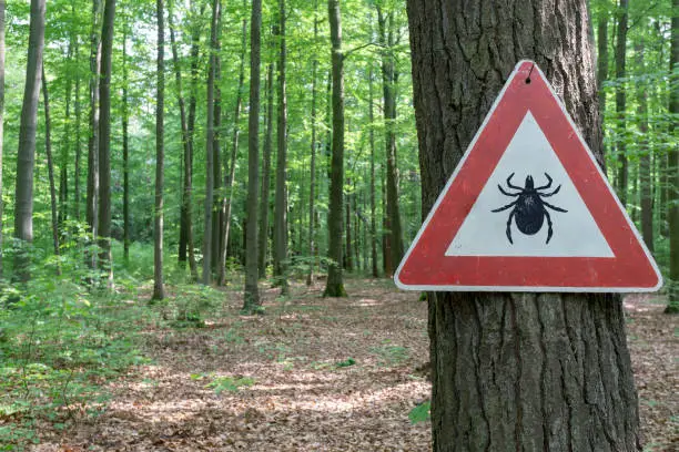 Photo of tick insect warning sign