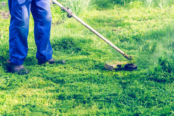 istock A man mows a green grass lawn mower on a sunny day 963327456
