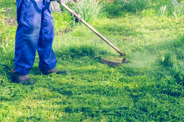 istock A man mows a green grass lawn mower on a sunny day 963327514