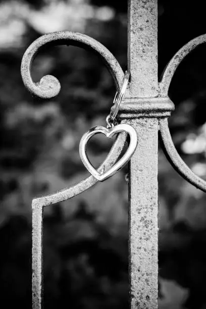 A heart pendant on a fence in black and white
