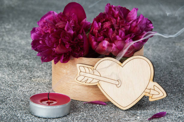istock Two peonies in a box on gray background 963333456