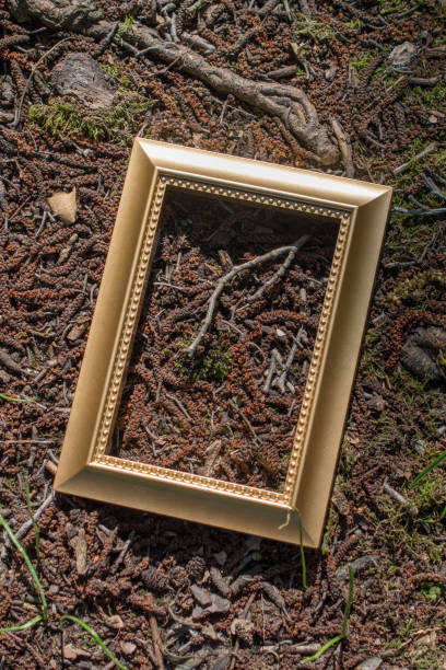 istock Blank wooden picture  frame on  background 963337390