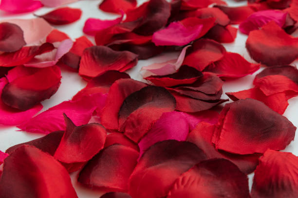 istock Background of red rose petals 963341822