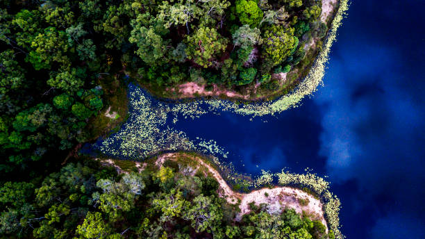 istock Gold Creek Dam drone 963346214