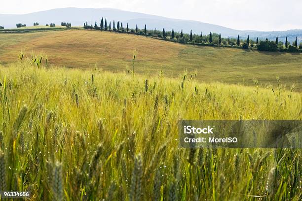 Тосканский Пейзаж — стоковые фотографии и другие картинки Бежевый - Бежевый, Без людей, Валь д'Орча