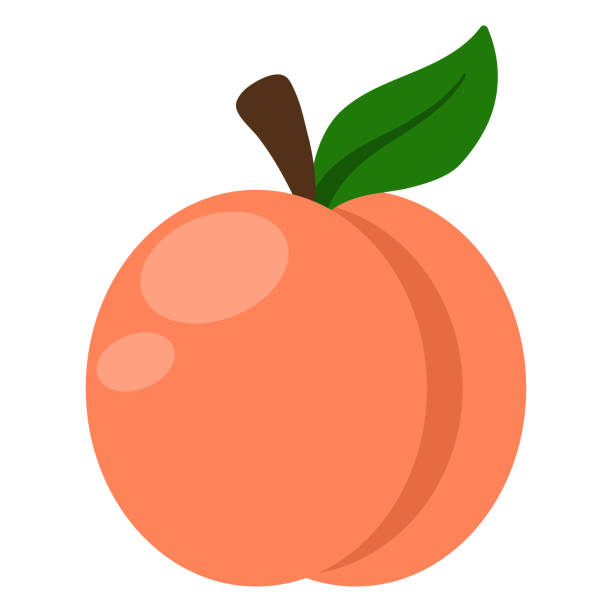 Peach Illustration Peach with stem and leaf isolated on white background georgia stock illustrations