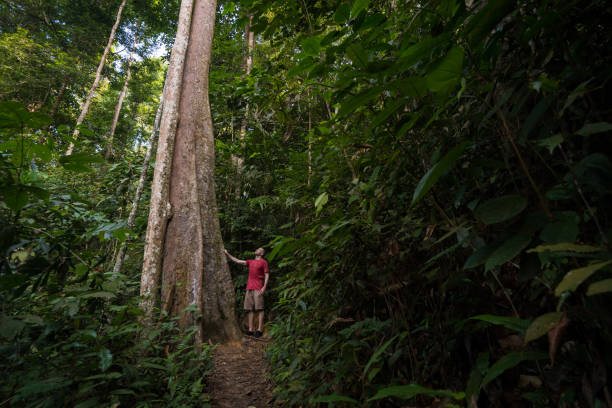 Trekking in a lush green jungle