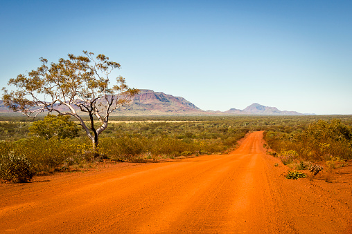 Red dirt road passes a lone tree with distant mountain range in background.