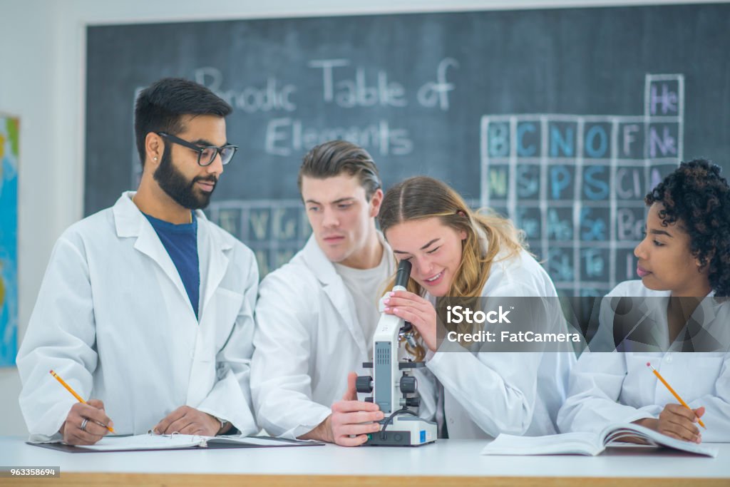 Observation Using Microscope Making Observations Using A Microscope Stock Photo - Download Image Now ...