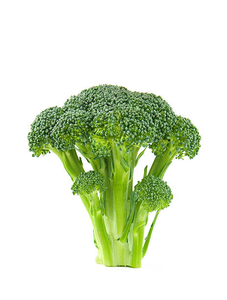 istock Floret of Brocolli 96336127