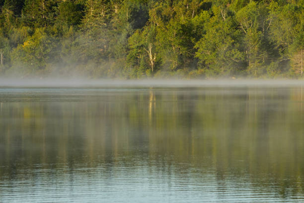 istock Morning Mist on the Lake New Brunswick Canada 963362134