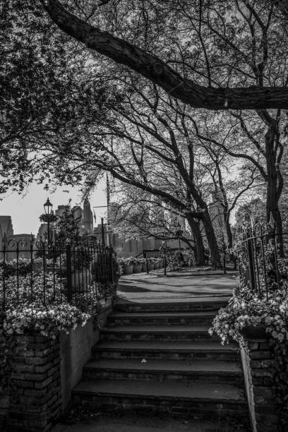 Antique doorway with stairs that lead into a park.