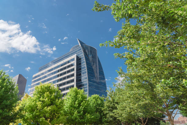 istock City park tree canopy and modern building background 963367044